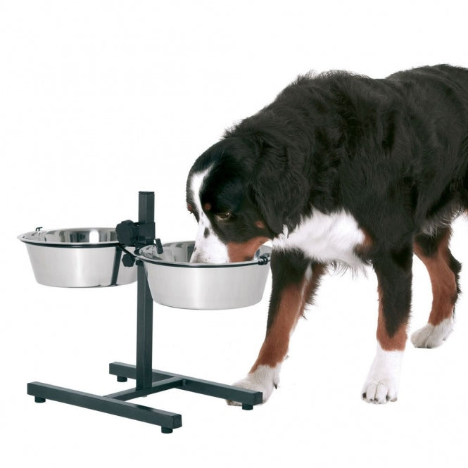 erhörter napf hund