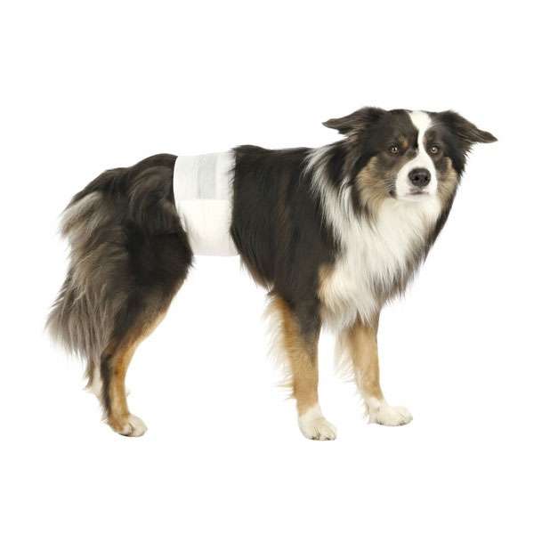 Trixie Hundewindel Rüde