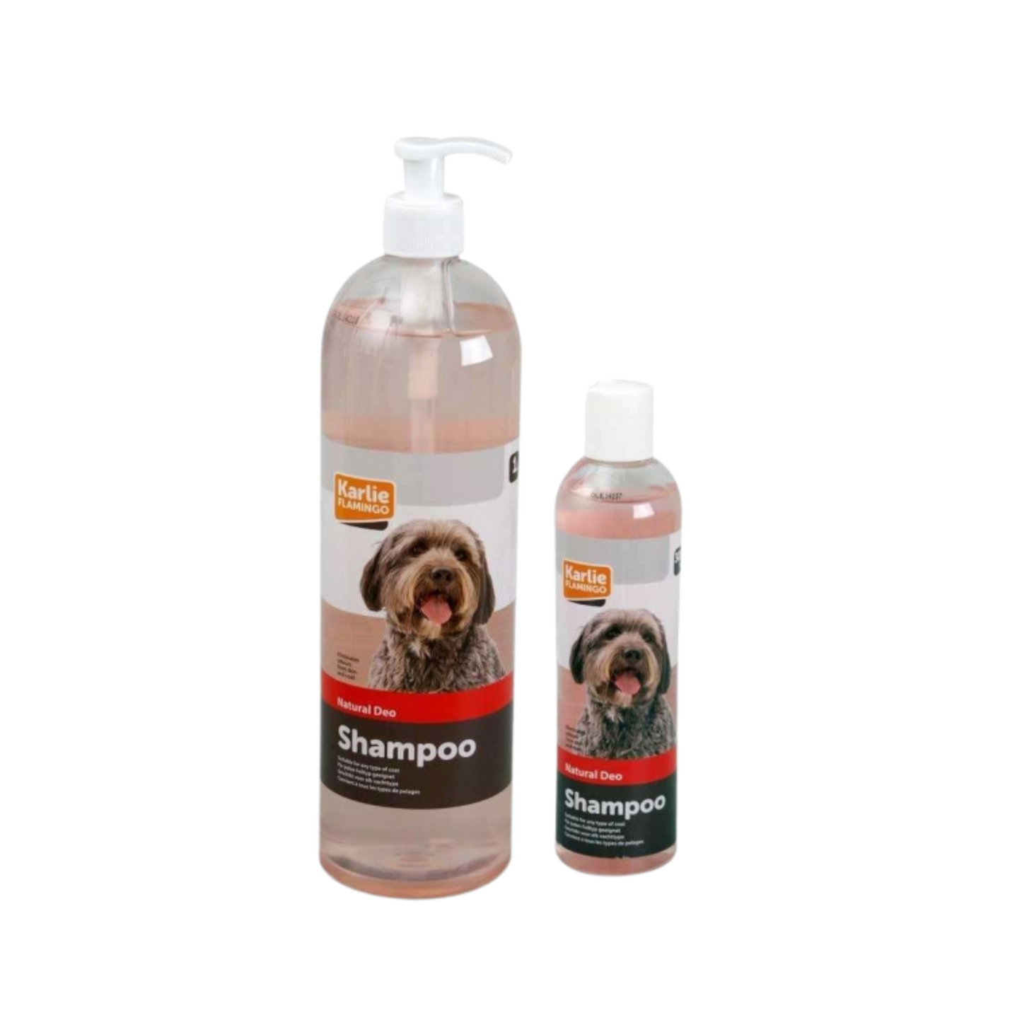 Hundeshampoo gegen Geruch