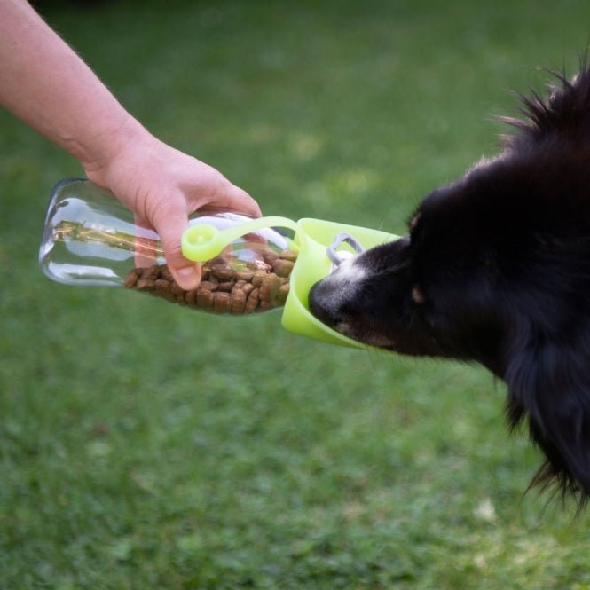 reisenapf hund