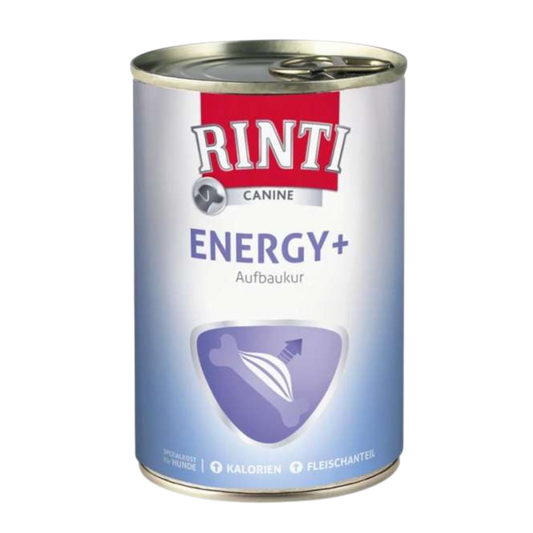Hundefutter zum zunehmen