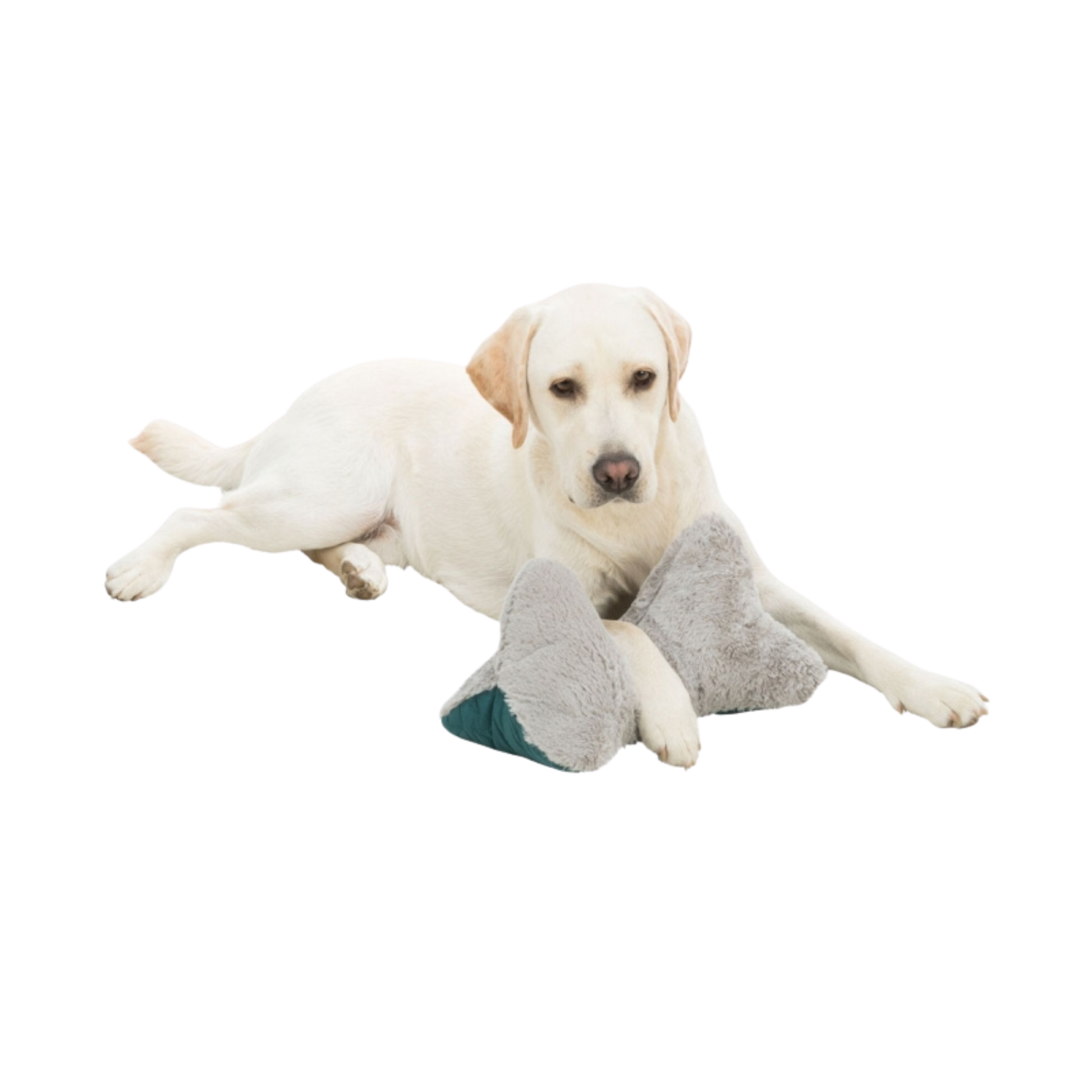 Hundekopfkissen