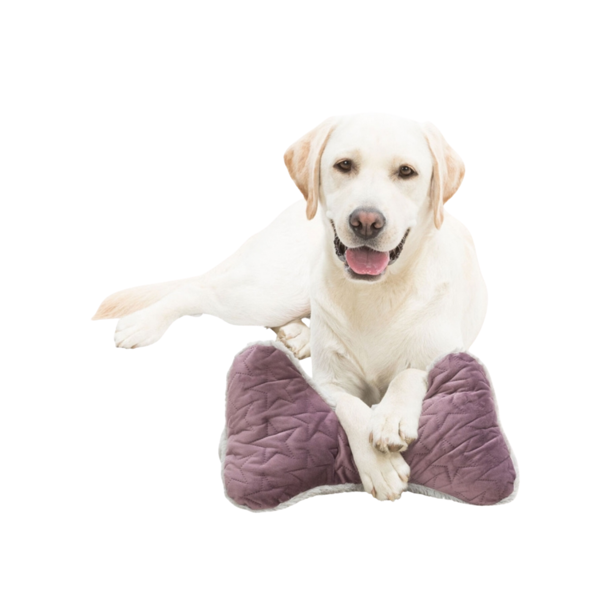 Hundekopfkissen 