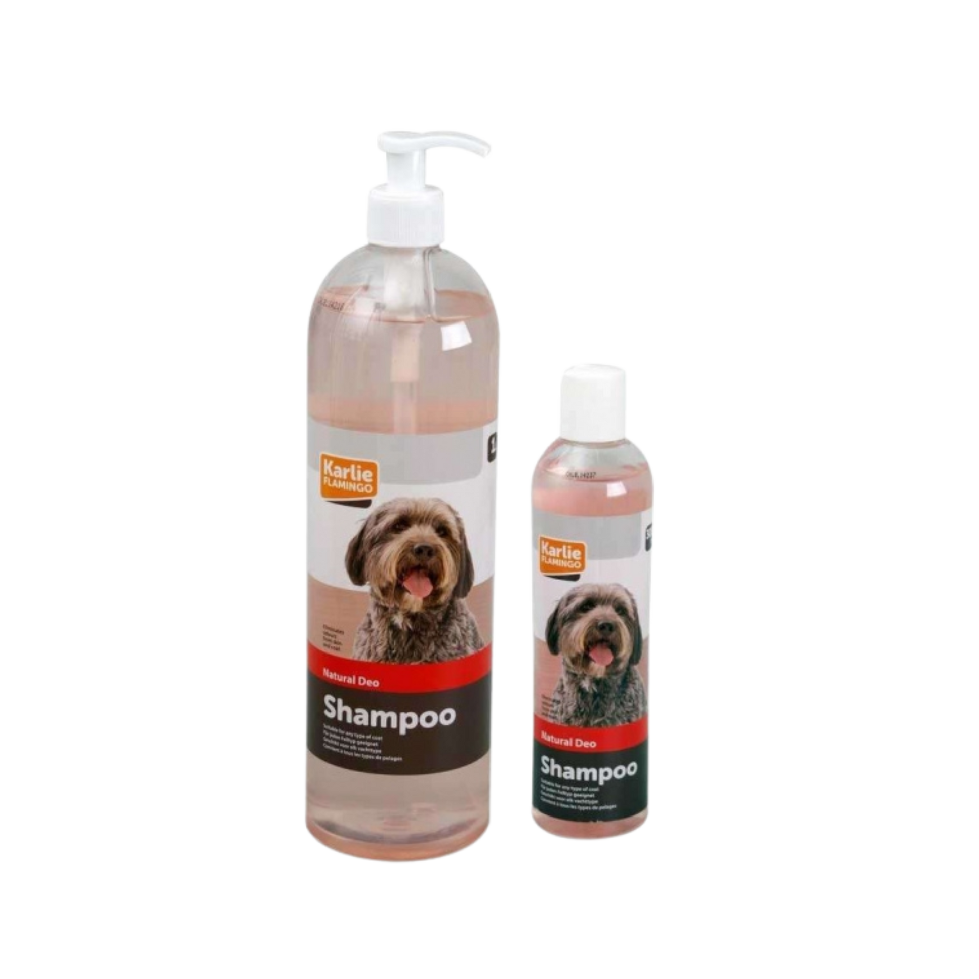 Hundeshampoo gegen Geruch