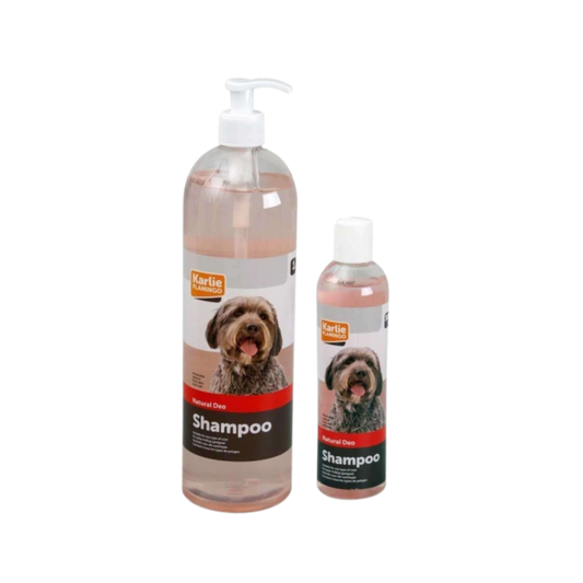 Hundeshampoo gegen Geruch
