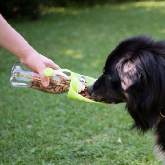 reisenapf hund